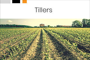 Tillers12